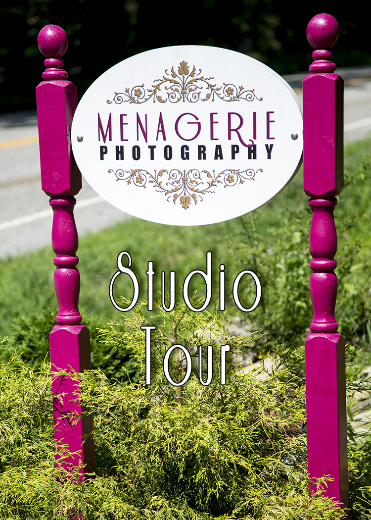 Menagerie Photography Studio Tour